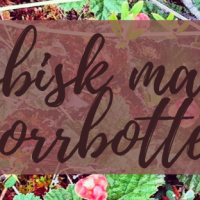 Profile picture for user Lesbisk Makt Norrbotten